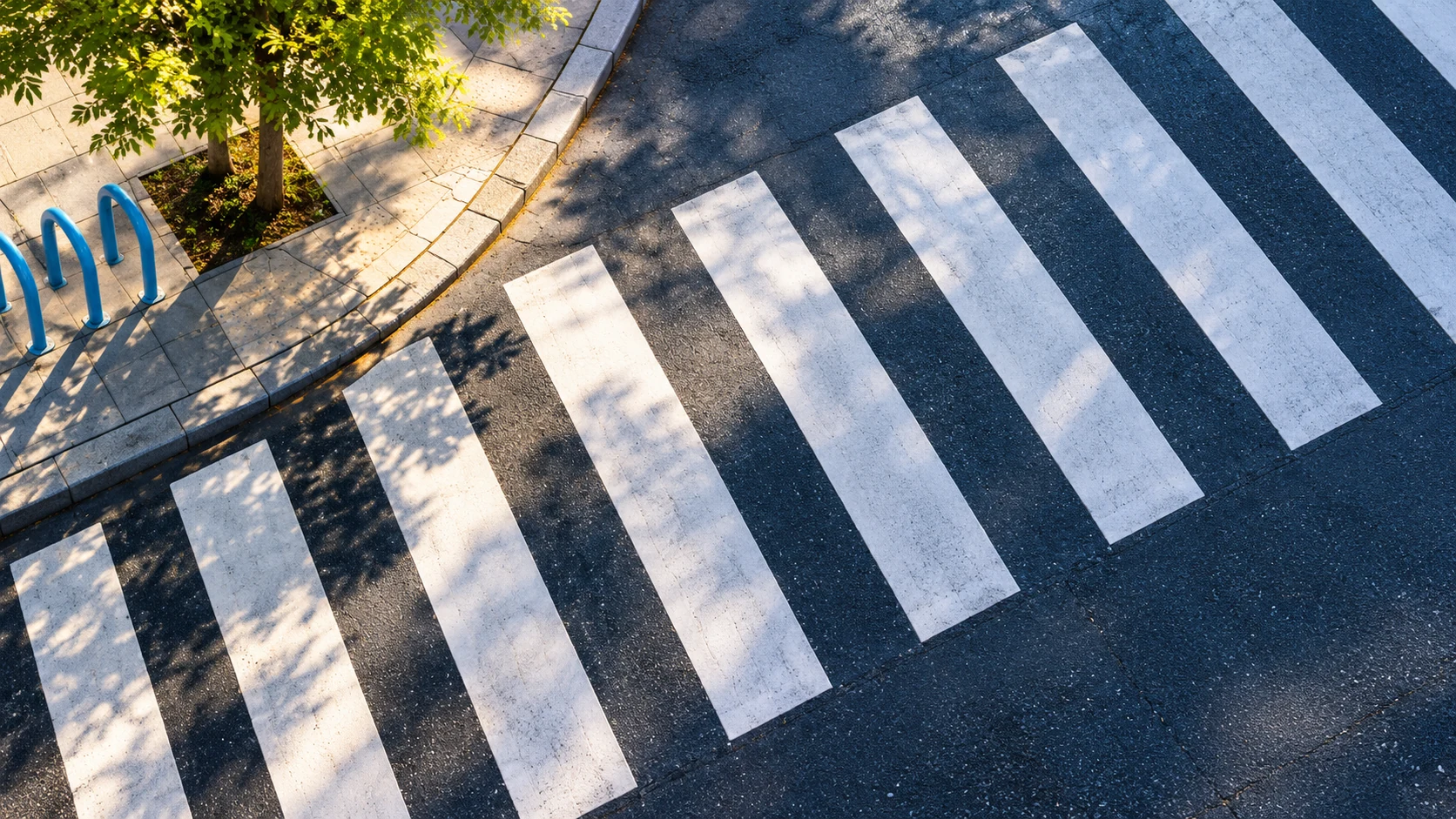 White crossing stripes cut diagonally across dark asphalt beside a paved sidewalk and a leafy tree shadow.